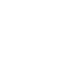 newton-paiva-logo_Prancheta-1